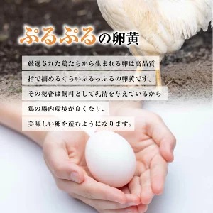 【定期便6ヶ月】匠の卵 20個(割れ玉補償２個）7％の卵｜たまご　卵　玉子　鶏卵　生卵　プレミアム　優秀賞　愛知県　美浜町　国産　産直　卵黄　卵かけご飯