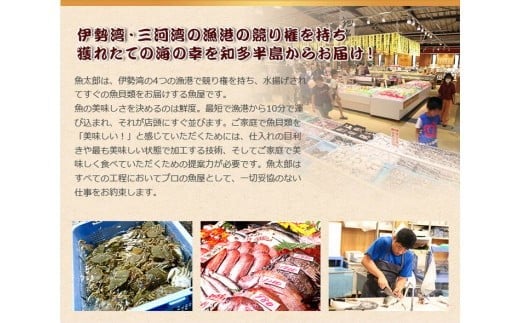 【魚太郎知多本店】商品券1万円分 魚太郎 ふるさと納税 海鮮 刺身 干物 ひもの バーべキュー 愛知県 美浜町※ゆうパックにて配送 ※2025年10月より利用方法が変わりました 〇