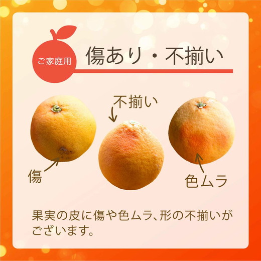 【先行受付予約】国産グレープフルーツ 家庭用7kg（15～20玉） 訳あり 柑橘 スタールビー ノーワックス 防腐剤なし 果物 ジュース ジャム 青果 旬 アロマ できるだけ農薬を使わない ※2026年5月上旬～8月上旬頃に順次発送予定