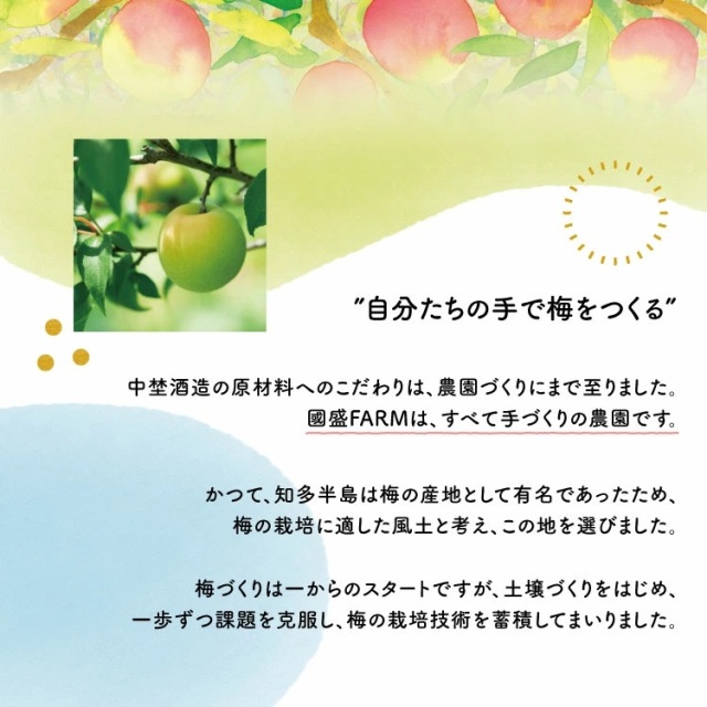 梅シロップ420g×3本 ◆ ❘ 希釈用 梅 氷砂糖 梅ジュース 梅ドリンク 梅サワー 梅ソーダ ノンアルコール ギフト 贈り物 國盛 國盛FARM 紅南高梅 南高梅 完熟梅 フルーツ 愛知県 美浜町 中埜酒造