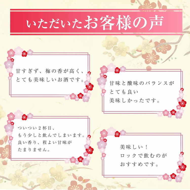 知多梅酒720ml 1ケース ◆ ❘ 梅酒　お酒　國盛　國盛FARM　果実酒　食前酒　リキュール　ロック　ソーダ割　紅南高梅　南高梅　完熟梅　フルーツ　愛知県　美浜町　中埜酒造