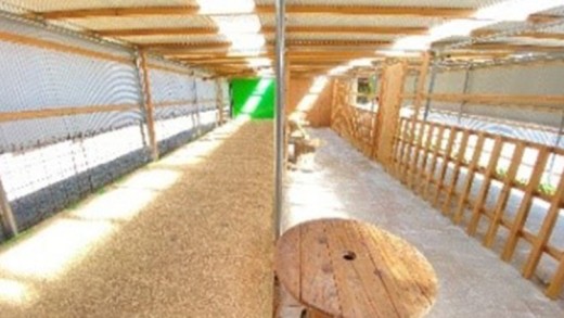 【体験型返礼品】ペットヤギ牧場バックヤードツアー（来場/3時間/2名）（愛知ヤギ農場）