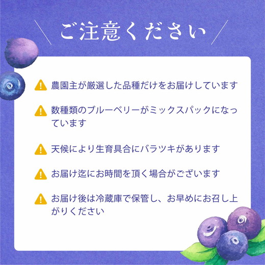 【先行受付予約】知多半島 生ブルーベリー 800g（100g×8パック） 完熟 果物 フルーツ 旬 農園直送 青果物 国産 健康 美容 愛知県 美浜町 ブルーベリーの里みはま 産地直送 ※2026年6月上旬～8月中旬に順次発送予定 送料無料 数量限定 期間限定 ※北海道・沖縄・離島への配送不可