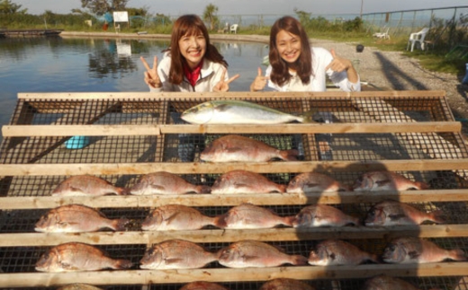 爆釣 美浜フィッシングパーク 利用券 半日券 午後券 女性・子ども（小学生以下）用 体験 チケット ｜ 海釣り 釣り堀 釣堀 旅行 アクティビティ アウトドア スポーツ ギフト券 券 体験チケット 釣り竿 釣竿 竿 釣り餌 レンタル 釣 愛知県 美浜町 知多半島