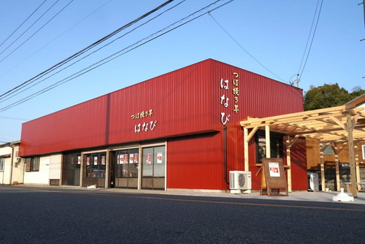 【つぼ焼き芋はなび】つぼ焼き芋干し芋　625ｇ（125ｇ×5袋）｜ 焼き干し芋 干し芋 ほしいも 干しいも ほし芋 焼き芋 やきいも つぼ焼き芋 さつまいも サツマイモ 人気 お菓子 おやつ スイーツ ランキング 取り寄せ おすすめ プレゼント ギフト 小分け 個包装 愛知県 美浜町