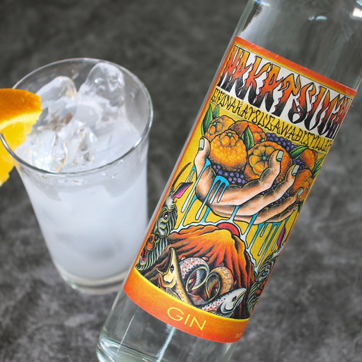 中津ジン ポンカン 500ml 1本 ｜ 酒 お酒 スピリッツ クラフトジン 蒸留酒 国産 カクテル ちたぽん ソーダ割り NAKATSU GIN アルコール ロック ソーダ ジントニック ギフト お試し 晩酌 愛知県 美浜町 ※2025年12月上旬～2026年6月下旬頃に順次発送予定