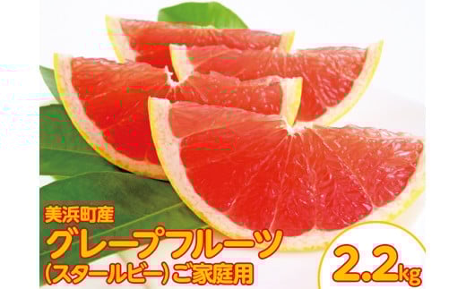 美浜町産グレープフルーツ（スタールビー）ご家庭用　6-8玉（約2.2kg）　※2026年5月上旬〜7月上旬頃に順次発送予定