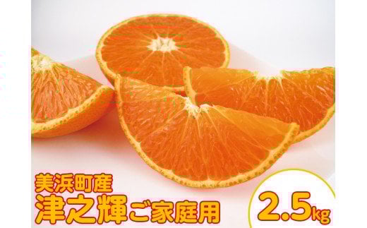 美浜町産　津之輝　ご家庭用　約2.5kg※2024年3月上旬～下旬頃に順次発送予定※着日指定不可