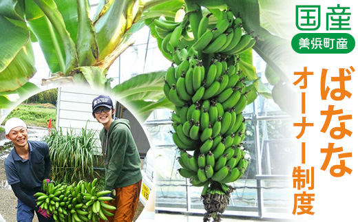 美浜町産ばななオーナー制度 ◆