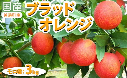 国産（美浜町産）ブラッドオレンジ　『モロ種自宅用 約3kg入り』 | 柑橘類 防腐剤不使用 愛知県 特産品 ※2026年2月中旬～3月中旬頃までに順次発送予定