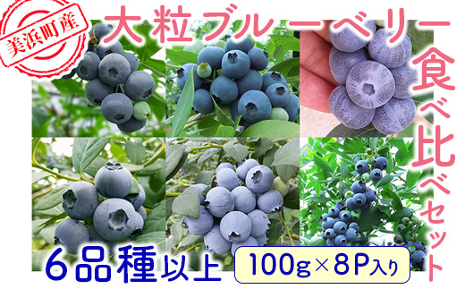 美浜町産大粒ブルーベリー食べ比べセット6品種以上 『8パック入り』 ※2026年6月中旬～6月下旬頃に順次発送予定