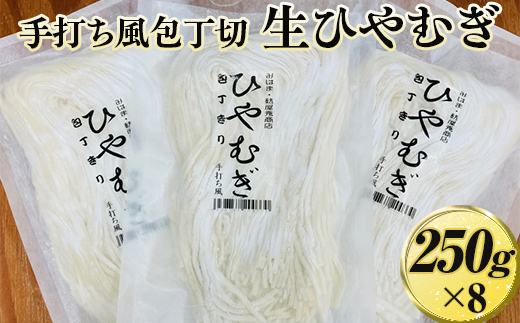 手打ち風包丁切　生ひやむぎ