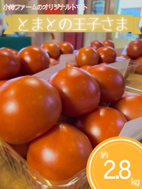 とまとの王子さま　約2.8kg ※2026年1月上旬～5月下旬頃に順次発送予定◆