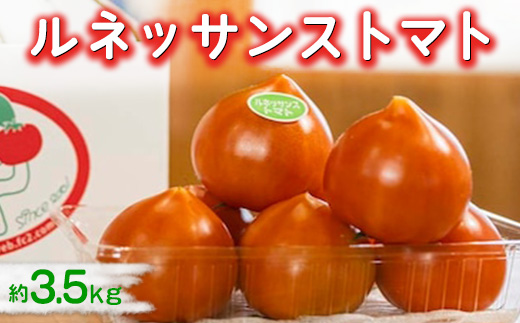 ルネッサンストマト　約3.5kg ※2026年1月上旬～5月下旬頃に順次発送予定◆