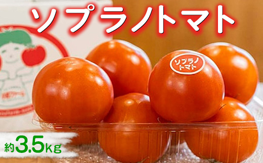 ソプラノトマト　約3.5kg ※2026年1月上旬～5月下旬頃に順次発送予定◆