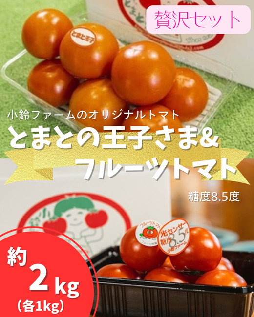 とまとの王子さま＆フルーツトマト糖度8.5度　計約2kg ※2026年1月上旬～4月下旬頃に順次発送予定◆