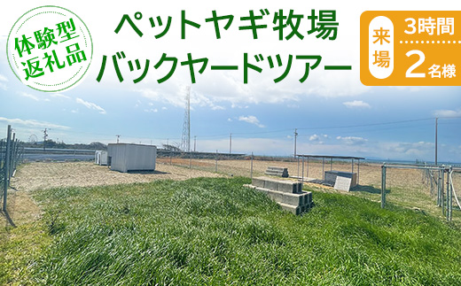 【体験型返礼品】ペットヤギ牧場バックヤードツアー（来場/3時間/2名）（愛知ヤギ農場）