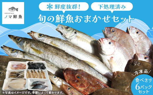 鮮度抜群！お魚おまかせ食べきり６パック・下処理加工してあるので解凍してすぐに調理できます。 ※着日指定不可 ※北海道・沖縄・離島への配送不可