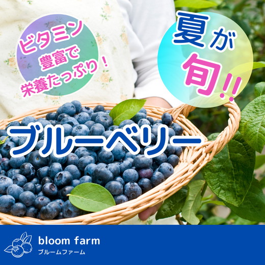 ブルーベリー 訳あり 500g×2パック | 大粒 品種ミックス くだもの 果物 フルーツ ヨーグルト ジャム 国産 愛知県産 ※北海道・沖縄・離島への配送不可