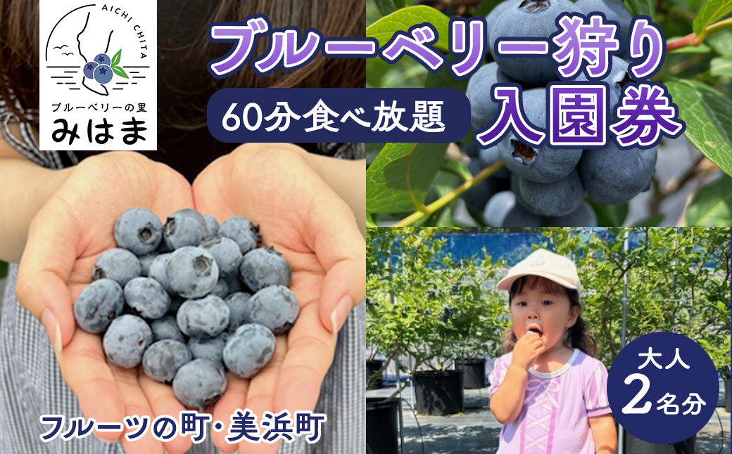 【食べ放題！】ブルーベリー狩り入園券 大人2名分