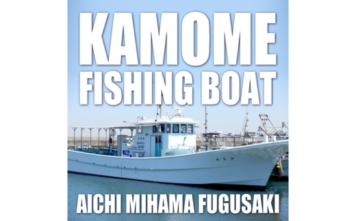 かもめ釣船 乗船チケット （3,000円分） | 釣り船 キャスティング サビキ ルアー 泳がせ 初心者歓迎 釣船 フィッシング 船釣り 体験 レジャー 船 船 魚 釣り さかな チケット 観光 旅行 ふね 釣舟 ふるさと納税魚 ふるさと納税フィッシング ふるさと納税体験 ふるさと納税釣り クーポン 乗船券 ふるさと納税利用券 愛知県 美浜町 人気 おすすめ