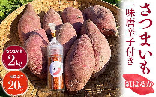 さつまいも2kg　一味唐辛子付き（20g）｜ サツマイモ 紅はるか かんしょ 美浜町産 知多半島産 愛知県産 国産 期間限定 香辛料 調味料 味付け　※北海道・沖縄・離島への配送不可