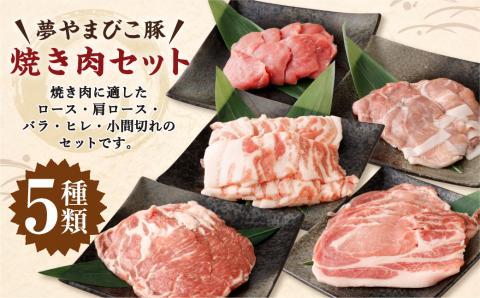 夢やまびこ豚 焼肉セット 1kg 5種類 (ロース・肩ロース・バラ・ヒレ・小間切れ) 肉 お肉 豚肉