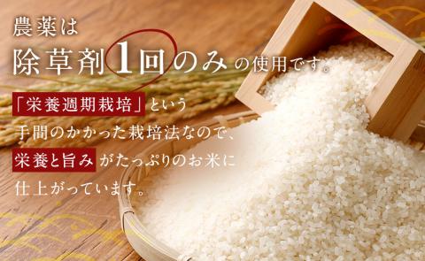 幸田町産「栄養週期栽培米」あいちのかおり 5kg 白米 精米 お米 ご飯