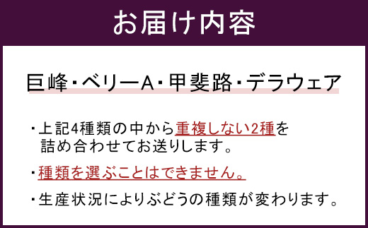 幸田町産ぶどう使用100％ジュース 2種詰め合わせ （720ml × 2本） ｜ 無添加 無糖 無加水 巨峰 ベリーA 甲斐路 デラウェア 送料無料