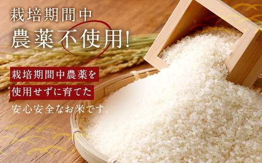 【6カ月定期便】幸せな田んぼのある町のお米｢幸田町｣産 あいちのかおり 白米 5kg ◇ ｜ お米 米 白米 精米 ご飯 ごはん 定期便