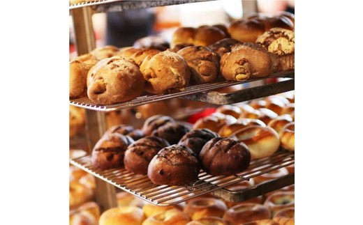 【12ヶ月定期便】薪窯パン お食事セット【乳製品不使用】 ｜ 食パン フランスパン ベーグル 詰合せ