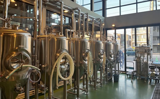 コノユビトマレ クラフトビール D-IPA 330ml×3本セット