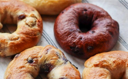 【6ヶ月定期便】【フードロス対策】自家製酵母の薪窯パンこだわりパンの詰め合わせセット ｜ 自家製酵母 薪窯パン ダーシェンカ ロスパン パンセット パン セット 送料無料