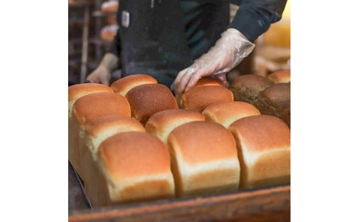 【12ヶ月定期便】薪窯パン お食事セット【乳製品不使用】 ｜ 食パン フランスパン ベーグル 詰合せ