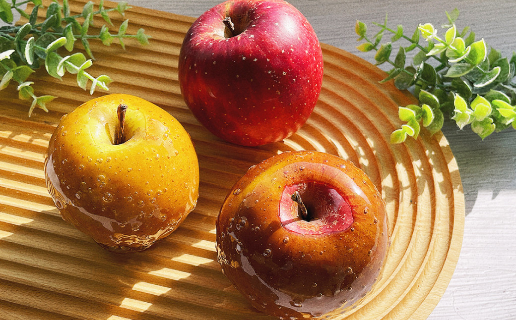 【2025年9月より順次発送予定】【定期便3回】旬を味わうりんご飴 味比べセット 青果りんご 1個 ･ りんご飴 2個 ( 計3個 ) お菓子 デザート