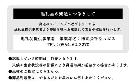 【2025年9月より順次発送予定】【定期便3回】旬を味わうりんご飴 味比べセット 青果りんご 1個 ･ りんご飴 2個 ( 計3個 ) お菓子 デザート