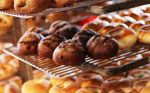 【6ヶ月定期便】【フードロス対策】自家製酵母の薪窯パンこだわりパンの詰め合わせセット ｜ 自家製酵母 薪窯パン ダーシェンカ ロスパン パンセット パン セット 送料無料