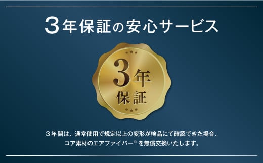エアウィーヴ ベッドマットレス S02 × ボックスシーツ セット（グレー） 【ダブル】