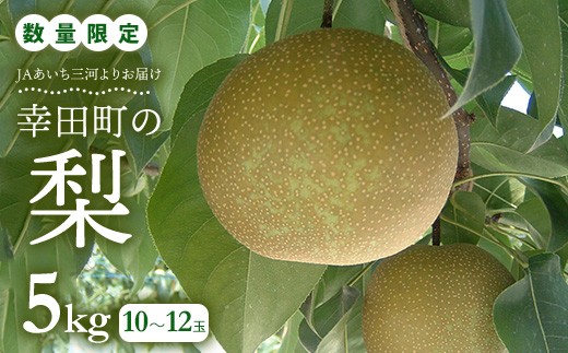【先行予約】 《数量限定》 幸田町産「梨」5kg(10～12玉) 箱入り なし ナシ 梨 フルーツ 果物 愛知県 ギフト ※2026年8月中旬～9月下旬頃に順次発送予定 ※着日指定不可 ※北海道・沖縄・離島への発送不可