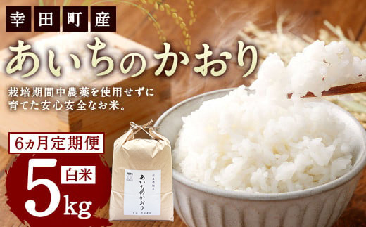 【6カ月定期便】幸せな田んぼのある町のお米｢幸田町｣産 あいちのかおり 白米 5kg ◇ ｜ お米 米 白米 精米 ご飯 ごはん 定期便