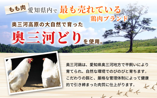 田口塩鶏 国産 若鶏味付け肉 2種セット（せせり・もも肉）合計900ｇ もも肉 500g せせり 400g 塩ダレ 味付け肉 鶏肉 鶏 肉 バーベキュー 味付け肉 大容量 焼くだけ 焼肉 焼き鳥 奥三河どり 10000円 10,000円 10000 -171