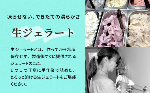 生ジェラート アソート 6個 Dセット トマトソルベ ミルク ほうじ茶 オーロヴェルデ カップアイス 設楽町