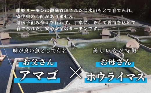 国産サーモン 生食可 無添加 絹姫サーモン カット 400g（100g×４) スペシャルトラウトサーモン 冷凍フィーレトラウトサーモン 鮭 魚 刺身 お刺身 ご当地 天然 産地直送 川育ち 味付けなし 魚介 魚介類 -121
