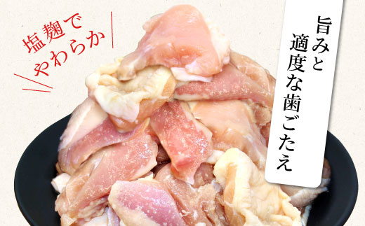 田口塩鶏 国産 若鶏味付け肉 2種セット（せせり・もも肉）合計900ｇ もも肉 500g せせり 400g 塩ダレ 味付け肉 鶏肉 鶏 肉 バーベキュー 味付け肉 大容量 焼くだけ 焼肉 焼き鳥 奥三河どり 10000円 10,000円 10000 -171