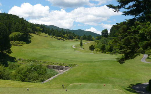 名倉カントリークラブ ゴルフ 利用券 6000円分 ゴルフ場 スポーツ チケット 施設利用券 名倉 利用券 東海 愛知県 設楽町 -067