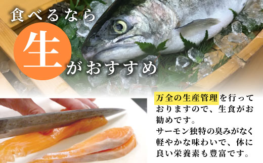 国産サーモン 生食可 無添加 絹姫サーモン カット 400g（100g×４) スペシャルトラウトサーモン 冷凍フィーレトラウトサーモン 鮭 魚 刺身 お刺身 ご当地 天然 産地直送 川育ち 味付けなし 魚介 魚介類 -121
