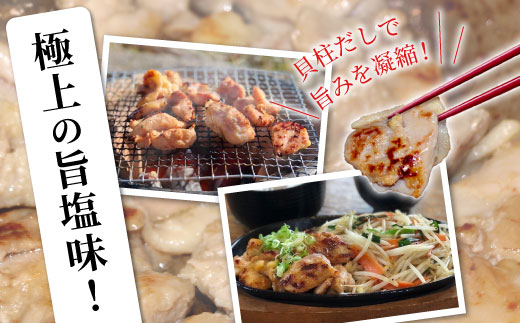 奥三河どり使用！ 田口塩鶏 味付け むね肉 1kg 塩ダレ ムネ肉 味付け肉 鶏肉 鶏 肉 キャンプ バーベキュー 味付け肉 大容量 手軽 焼くだけ 地鶏 焼肉 焼き鳥 10000円 -178