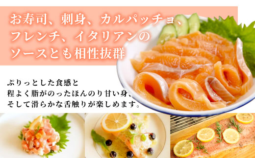 国産サーモン 生食可 絹姫サーモン 冷凍フィーレ 1枚 (300g～400g) サーモン スペシャルトラウト トラウトサーモン 鮭 魚 刺身 お刺身 無添加 絹姫 ブランド マス アマゴ ご当地 天然 産地直送 川育ち 味付けなし 魚介 魚介類 -033