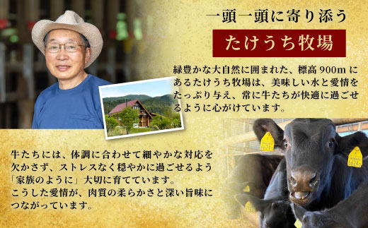 国産牛 段戸山高原牛 サーロイン ステーキ用 2枚 (250g×2) 500g 酒粕育ち 幻の牛 牛肉 ステーキ 国産 バーベキュー 焼肉 蓬莱泉 ブランド牛 -076