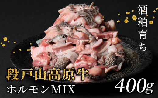 国産牛 段戸山高原牛 ホルモンMIX 400g もつ鍋 焼肉用 ホルモン ホルモン焼き もつ鍋 焼肉 BBQ キャンプ 肉 鉄板焼き -189